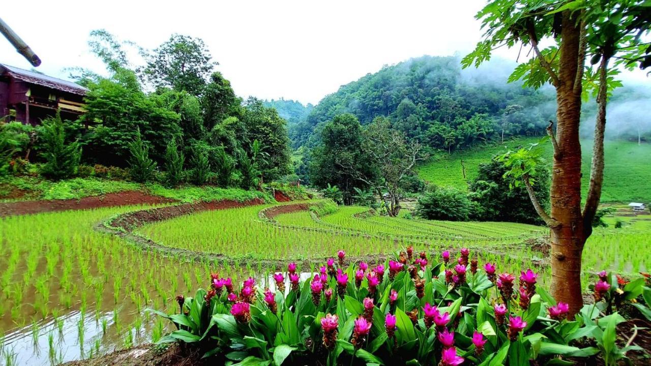 Kowitfarmstay Ban Mae Pan Noi Exterior foto