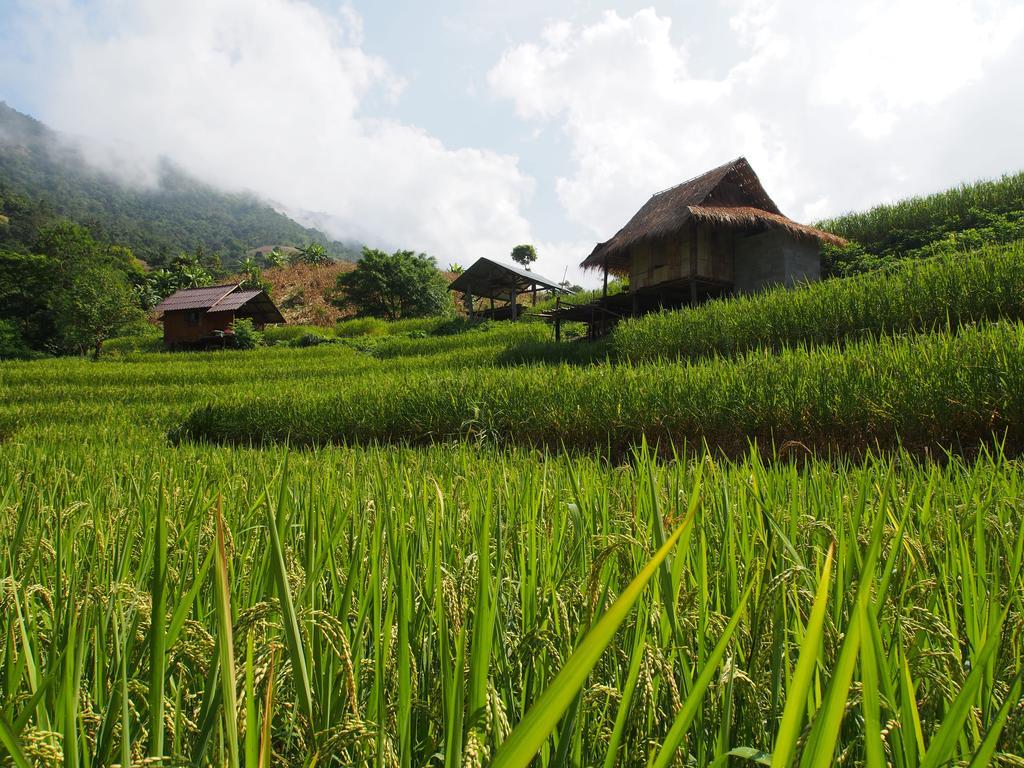 Kowitfarmstay Ban Mae Pan Noi Exterior foto