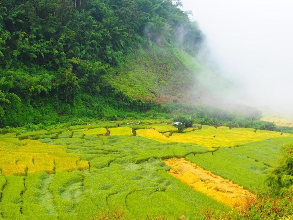 Kowitfarmstay Ban Mae Pan Noi Exterior foto