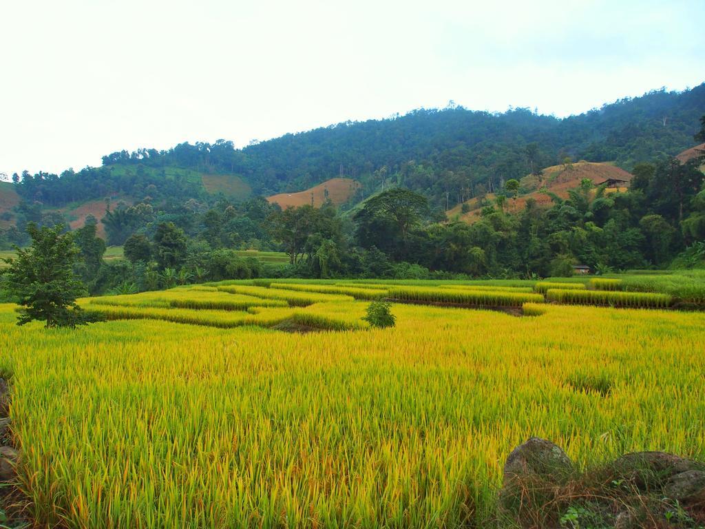 Kowitfarmstay Ban Mae Pan Noi Exterior foto