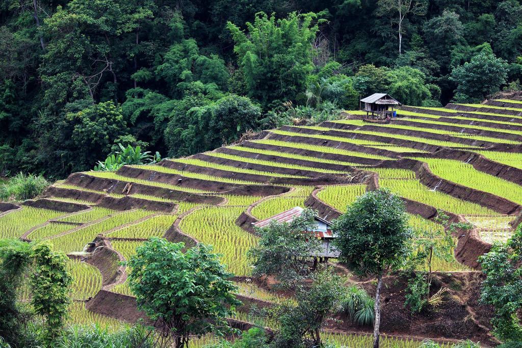 Kowitfarmstay Ban Mae Pan Noi Exterior foto