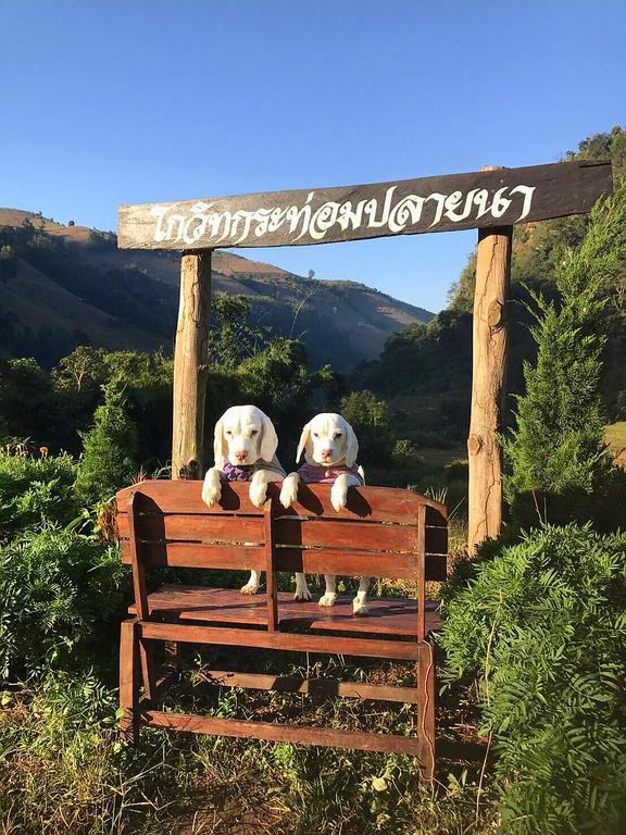 Kowitfarmstay Ban Mae Pan Noi Exterior foto